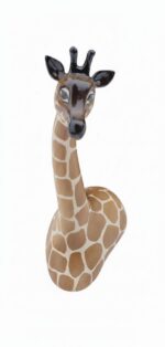 Kaelkirjak lamav - Image 3